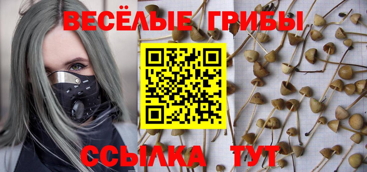 Галлюциногенные грибы Magic Shrooms Прохладный