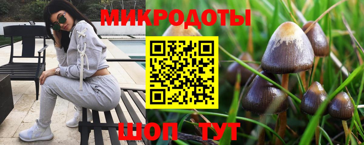 наркотики  Псилоцибиновые грибы ЛСД  Вход с VPN  Прохладный 