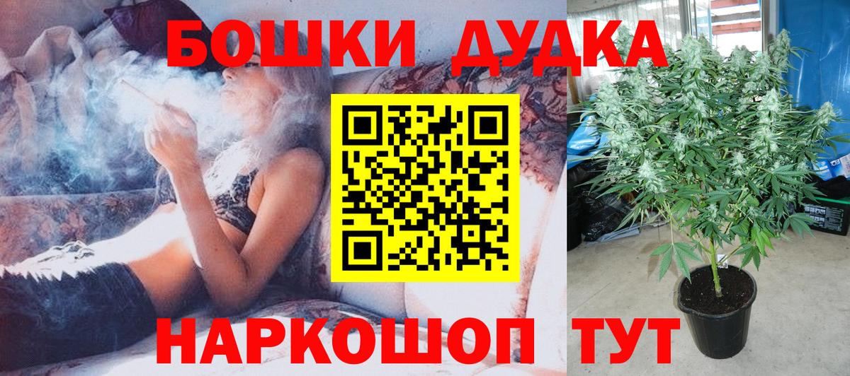 Бошки Шишки THC 21%  Вход с VPN  Каннабис OG Kush  МАРИХУАНА Amnesia  Прохладный 